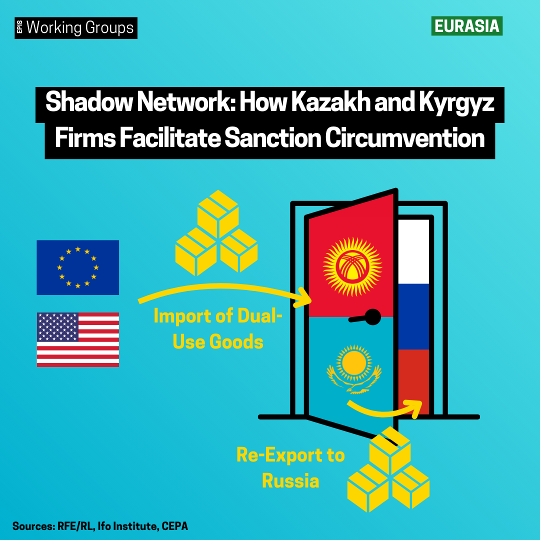 The Shadow Network