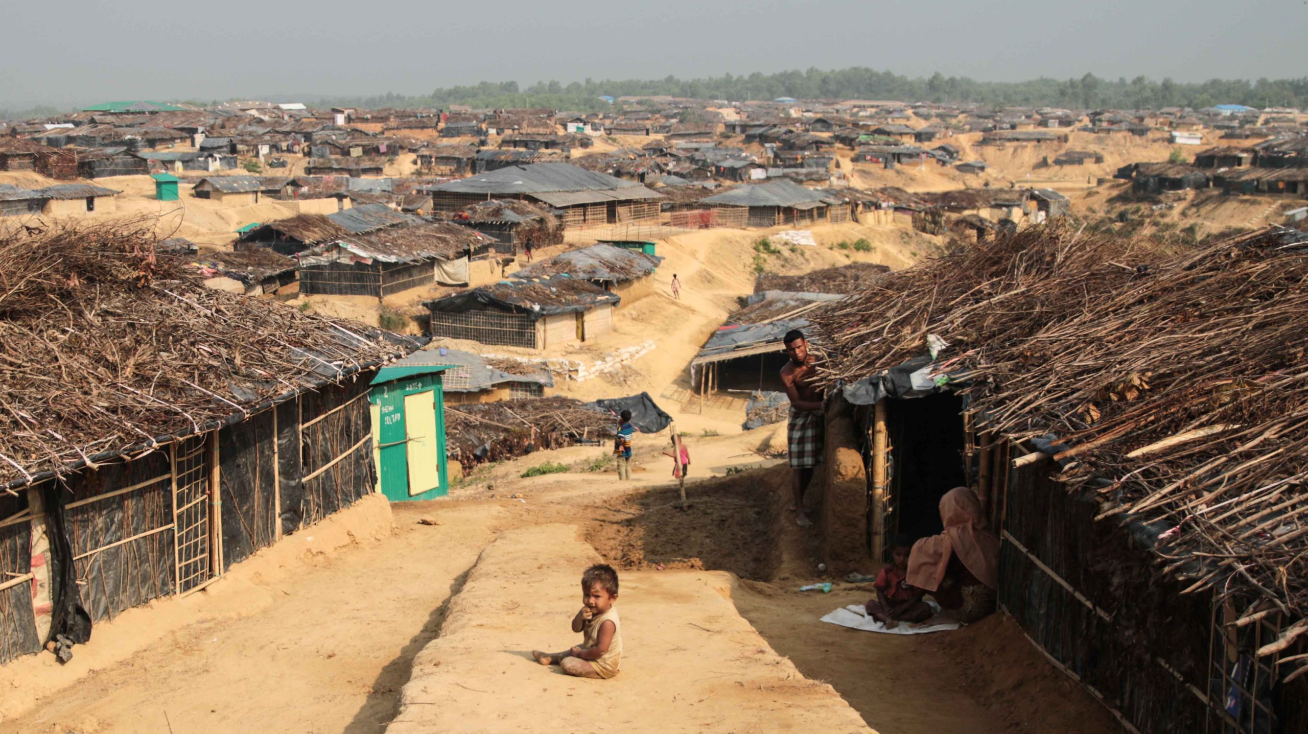 The Rohingya Crisis