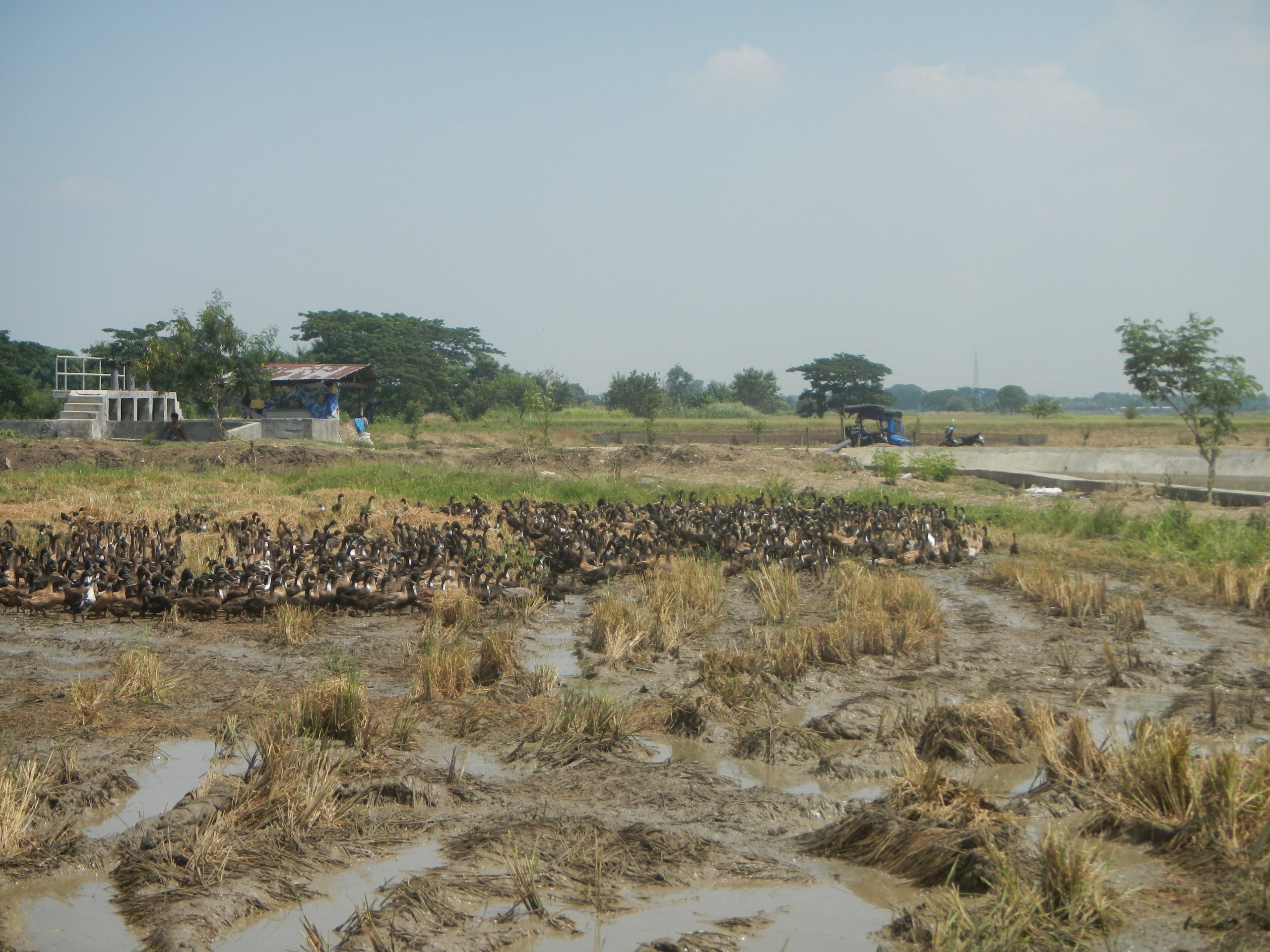 Resilient Agriculture for Europe’s Future